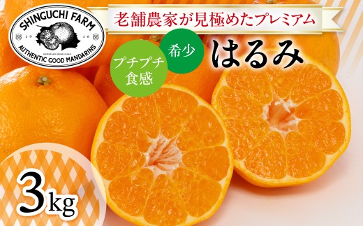 老舗農家が見極めたプレミアム＜はるみ3kg＞＜希少・プチプチ食感＞＜C70-130＞【1684351】 YWTK129