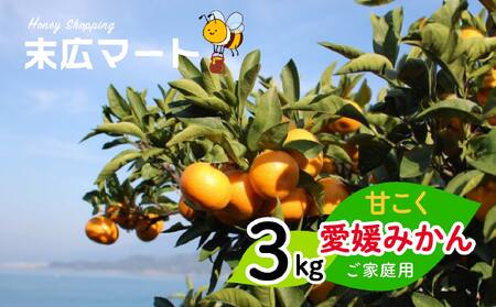 【11月中旬から順次発送】甘こく愛媛みかん 瀬戸内の太陽と潮風で育ったご家庭用 3kg | 蜜柑 みかん 愛媛 松山 フルーツ 果物 くだもの 数量限定 期間限定 送料無料【SHM0101】