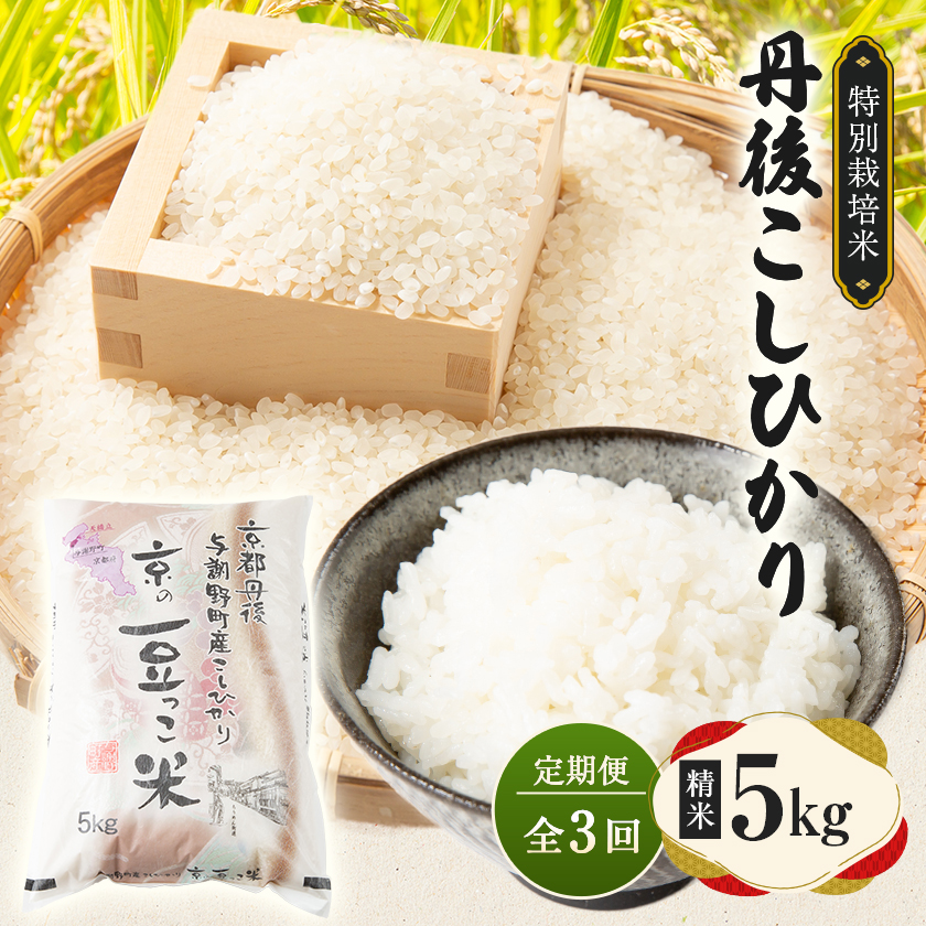 【毎月定期便】京都府与謝野町産 丹後コシヒカリ 精米5kg　特別栽培米 京の豆っこ米全3回【4083191】