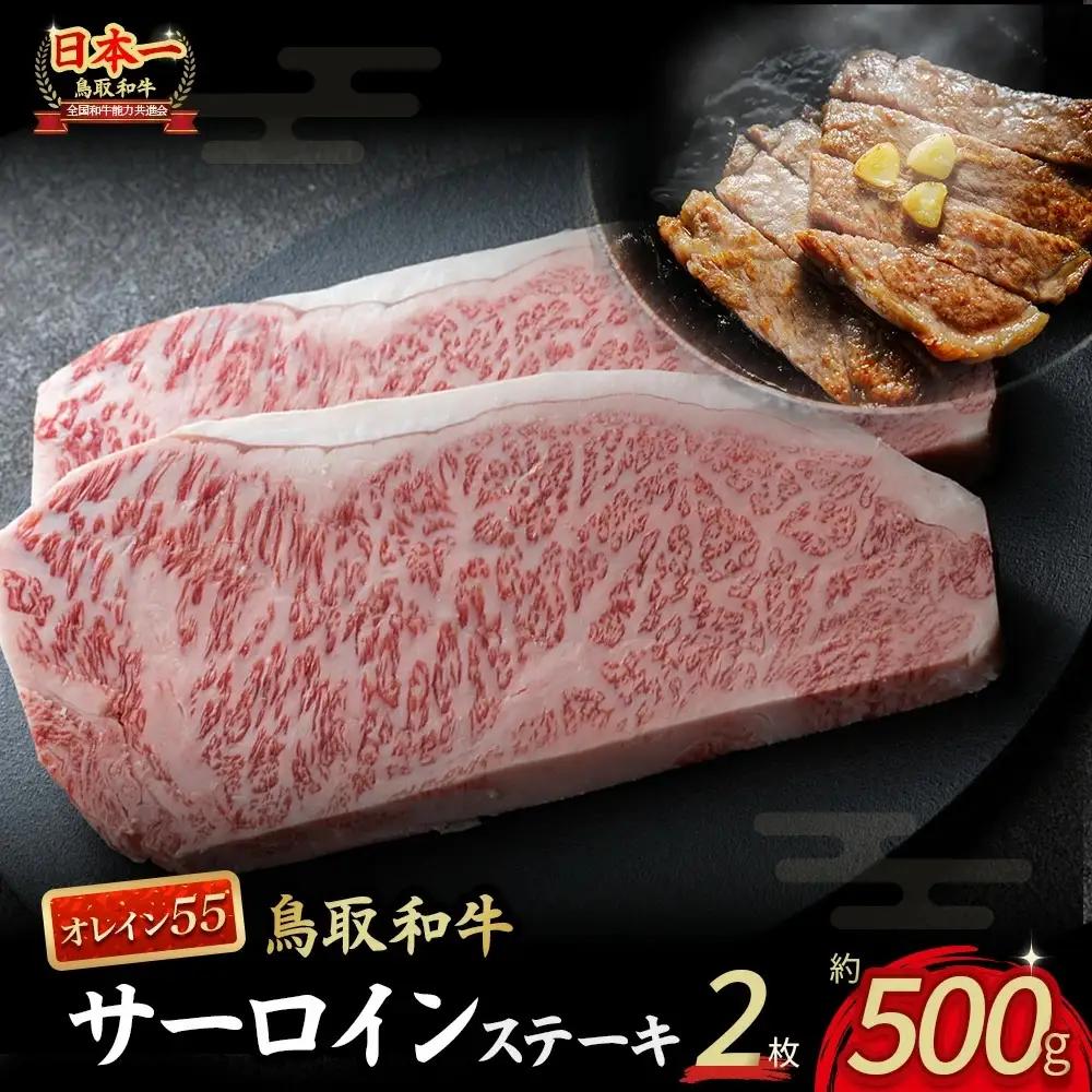 鳥取和牛 オレイン55 サーロインステーキ 2枚 （500g） 牛肉 黒毛和牛 KR1288 