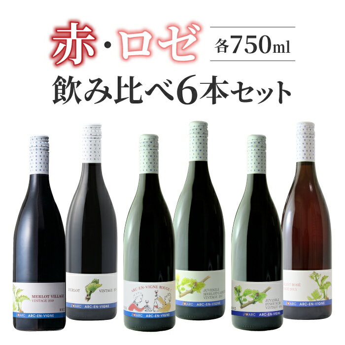 【ふるさと納税】日本ワインコンクール 受賞！赤・ロゼ ワイン 飲み比べ 6種6本セット｜【アルカンヴィーニュ】（ メルロー、メルローヴィラージュ、ルージュ、ジュベニールメルロー・カベルネ、 ジュベニール ピノノワール、巨峰ロゼ）長野 東御 長野ワイン 東御ワイン
