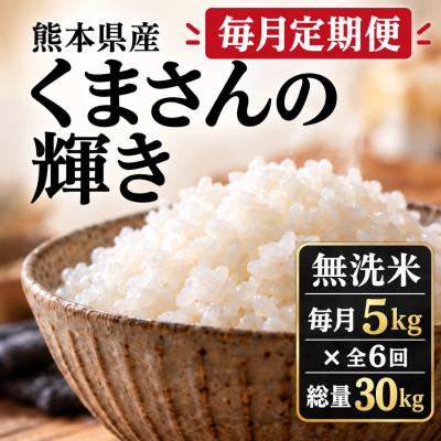 ふるさと納税 玉名市 【毎月定期便】熊本県産 くまさんの輝き 無洗米 毎月5kg × 全6回【総量30kg】