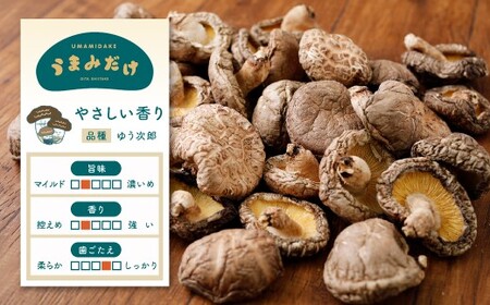 015-153x1 豊後大野市産 原木椎茸 上どんこ 500g どんこ しいたけ 椎茸 うまみだけ