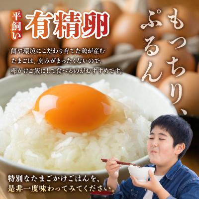 ふるさと納税 天草市 天草五ッ星米卵かけご飯セット(お米 5kg 卵 30個)_S061-003A |  | 02