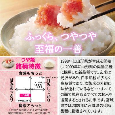 ふるさと納税 村田町 令和7年産 宮城県産 つや姫 7分づき精米 10kg ◆最高評価特A受賞 |  | 01