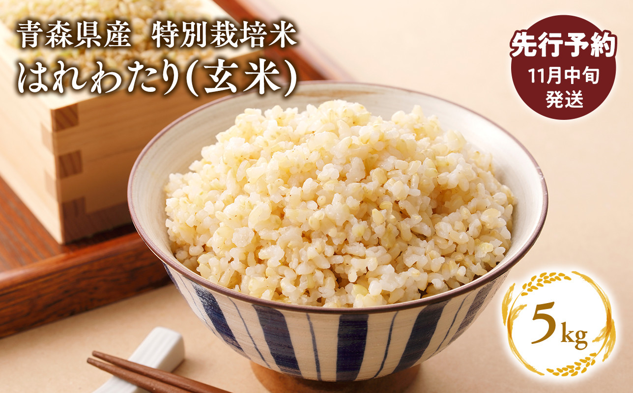 
            ≪令和7年産 先行予約≫11月中旬よりお届け! 　特別栽培米 はれわたり玄米5kg【青森県 平川市】先行予約 米 お米 玄米 青森県産 産地直送 おにぎり 朝ご飯 冷めてもおいしい ご飯  コメ こめ 白米 ごはん ブランド米 特A 特A米 お取り寄せ グルメ
          