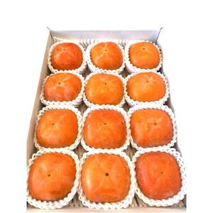 【秋の味覚】和歌山産たねなし柿約4kg 化粧箱入り(2L～4Lサイズ)(日高町)【配送不可地域：離島】【1470147】