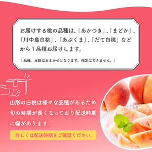 令和8年産 山形県産 白桃 3kg 品種 おまかせ 秀品 山形県産 【2026年8月上旬頃から9月下旬頃発送予定】　014-B-JA048