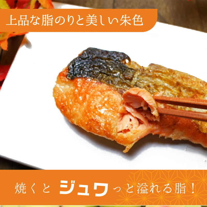 G7317_脂と旨みたっぷり！魚鶴仕込の天然 紅サケ 紅鮭 鮭 サーモン 切身 切り身 約1kg レビュー高評価