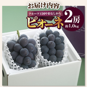 〈2026年度配送分〉ピオーネ2房（約1.0kg） ピオーネ 大粒 山梨 県産 先行予約 2026年 ぶどう フルーツ 2房 冷蔵 生産量 日本一 甲府 市産 1.0kg以上 フルーツ王国山梨 202