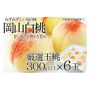 【ふるさと納税】桃 2025年 先行予約 岡山の白桃 300g以上×6玉 | 白桃 旬 みずみずしい 晴れの国 おかやま 岡山県産 フルーツ王国 果物王国 | もも フルーツ 果物 くだもの 食品 人気 おすすめ 送料無料