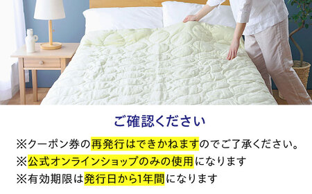 クーポン券 イシケン オンラインショップクーポン【25,000円分】 [BAAK156] クーポン券