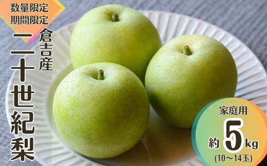 【先行予約】【数量限定】家庭用 二十世紀梨 5kg 令和7年産 鳥取 梨 果物 フルーツ 和梨 先行予約 数量限定 詰め合わせ 二十世紀梨 20世紀梨