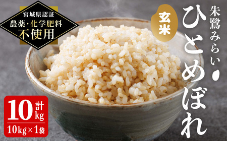 ＜宮城県認証 農薬・化学肥料不使用＞ひとめぼれ 玄米 10kg (10kg×1袋) 朱鷺みらい 玄米 登米市産 お米 おこめ 米 コメ 白米 ご飯 ごはん おにぎり お弁当 【オーガニックとめネットワーク】tm392