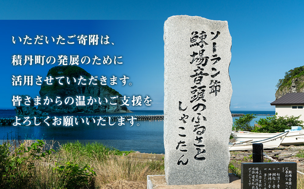 北海道 積丹町☆応援寄付金☆【返礼品なし】10,000円