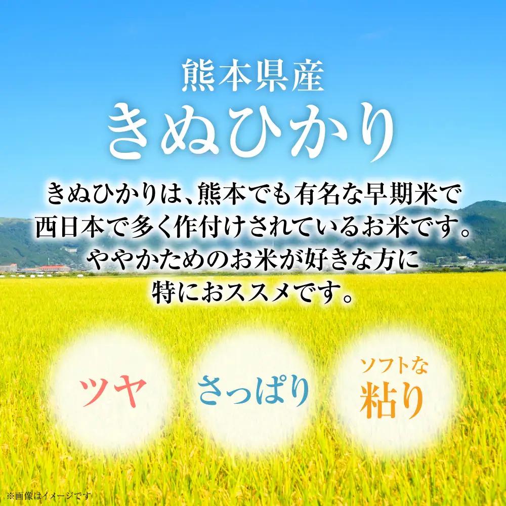 精米 【先行予約】 《令和8年産》 熊本県産 きぬひかり 5kg (5kg×1袋) 【2026年9月上旬より順次発送】 精米