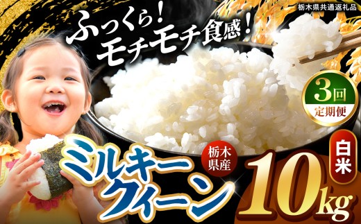 【先行予約】【定期便3回】  令和8年度産 白米 約10kg ミルキークイーン |  真岡市産 米  お米 こめ 白米 ご飯 ごはん もちもち ミルキークイーン 限定 ふるさと納税  栃木県 真岡市 送料無料