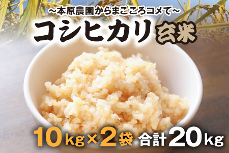 【令和5年産】【玄米10kg×2袋】福井県産 コシヒカリ20kg ～本原農園からまごころコメて～ [B-8941_05]