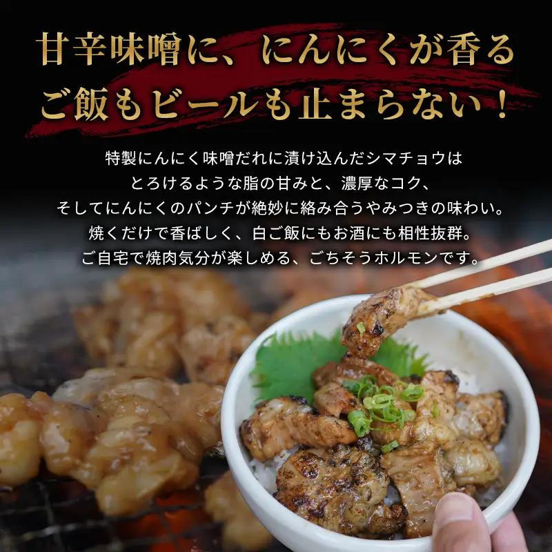 訳あり 中トロホルモン 3kg にんにく味噌味 （250g×12）ホルモン