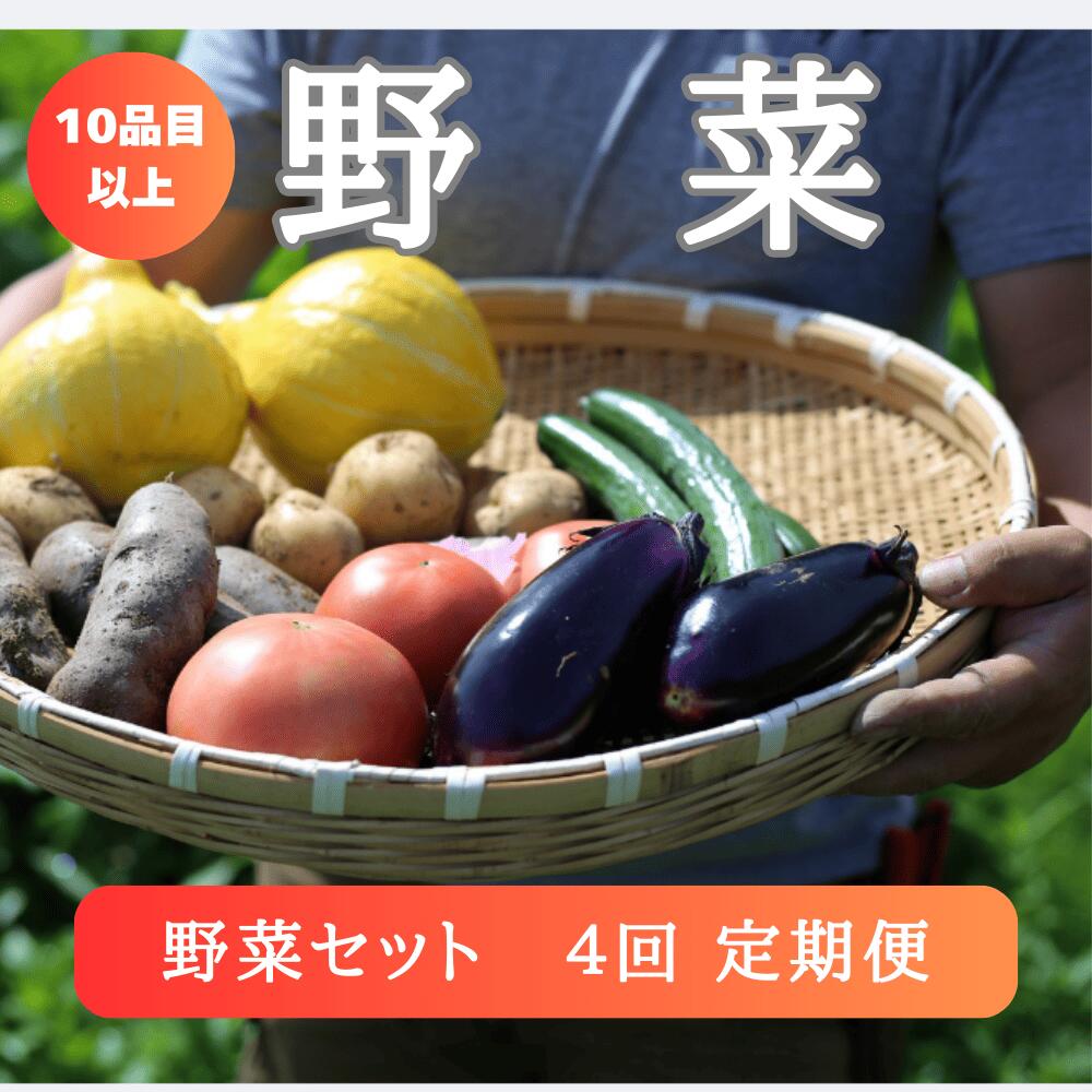 【ふるさと納税】野菜 定期便 4回 お楽しみ 野菜セット 旬 新鮮 詰め合わせ セット ギフト 直送 農家 夏野菜 おまかせ お取り寄せ 産直直送 産直 秋 冬 サラダ 詰合せ 4times