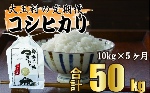 【 先行予約 】 【 令和6年産】【 今井農園 の お米 】 コシヒカリ　50ｋｇ（毎月10ｋｇ×5回）【OT08-008-R6】 福島県 大玉村 こしひかり 定期便 米