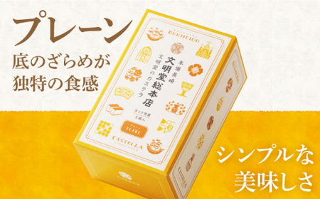 【12回定期便】カット包装カステラ　2箱入 （プレーン・チョコレート） ≪小値賀町≫ 【株式会社文明堂総本店】 カステラ かすてら 菓子 お菓子 和菓子 常温 [DBF018] [DBF018]