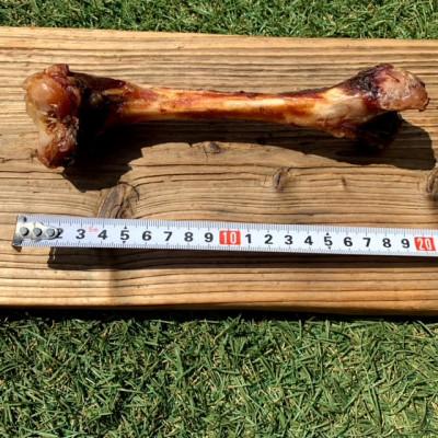 ふるさと納税 吉野ヶ里町 犬のおやつ☆天然いのししの骨ガム☆大型犬向け |  | 02