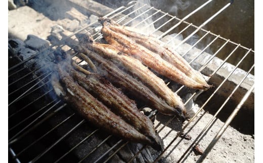 【備長炭で焼く“いい焦がし”】三河一色産うなぎの白焼 8尾 鰻 ウナギ 白焼き 国産 備長炭 土用 丑の日 冷凍 三河一色産 H189-017