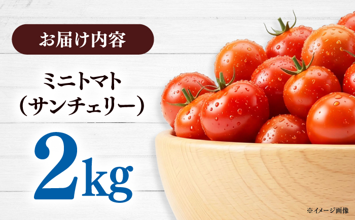 【甘みと酸味の黄金比】 ミニトマト 2kg 《対馬市》【みのり農園】 野菜 とまと [WDC002]