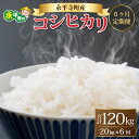 【ふるさと納税】【6ヶ月連続お届け】【白米】 令和5年度産 永平寺町産 コシヒカリ 20kg×6ヶ月（計120kg） / こめ ごはん 精米 定期便