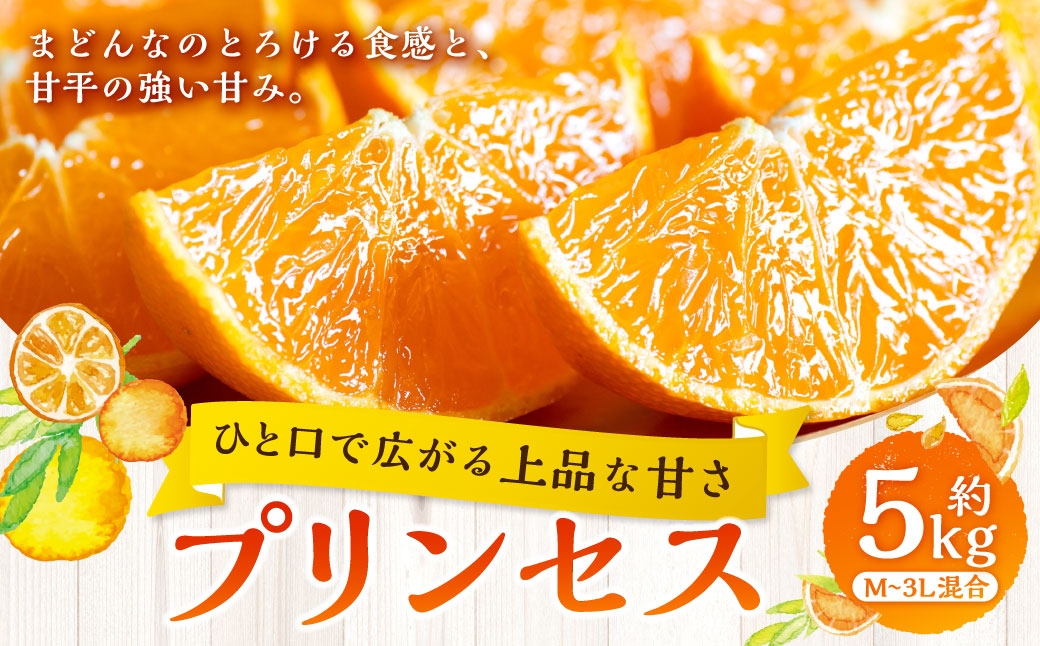 
                  【 ひと口で広がる上品な甘さ 】 プリンセス （ 紅プリンセスと同品種 ） 約5kg みかん ミカン くだもの 果物 フルーツ 柑橘 柑橘系 柑橘類 果実 果汁 果肉 国産 愛媛県産 旬 【 2027年2月下旬～3月下旬発送予定 】 ( 1075 )
                