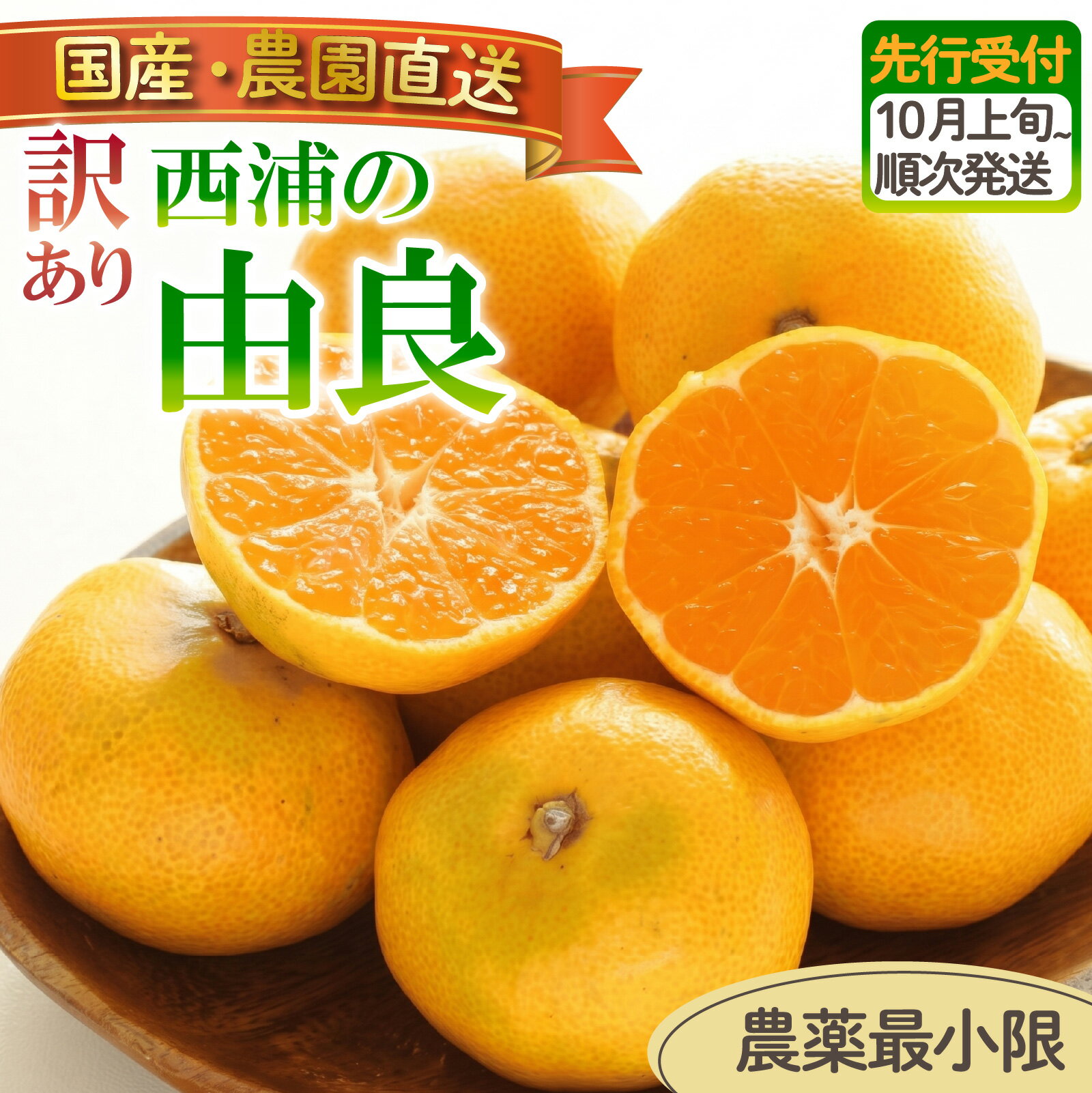 【ふるさと納税】 訳あり 由良 みかん 3kg 5kg 10kg 選べる容量 | 木負観光みかん園 ミカン オレンジ 蜜柑 柑橘 フルーツ 旬 果物 国産 産地直送 季節限定 西浦 沼津市 静岡県