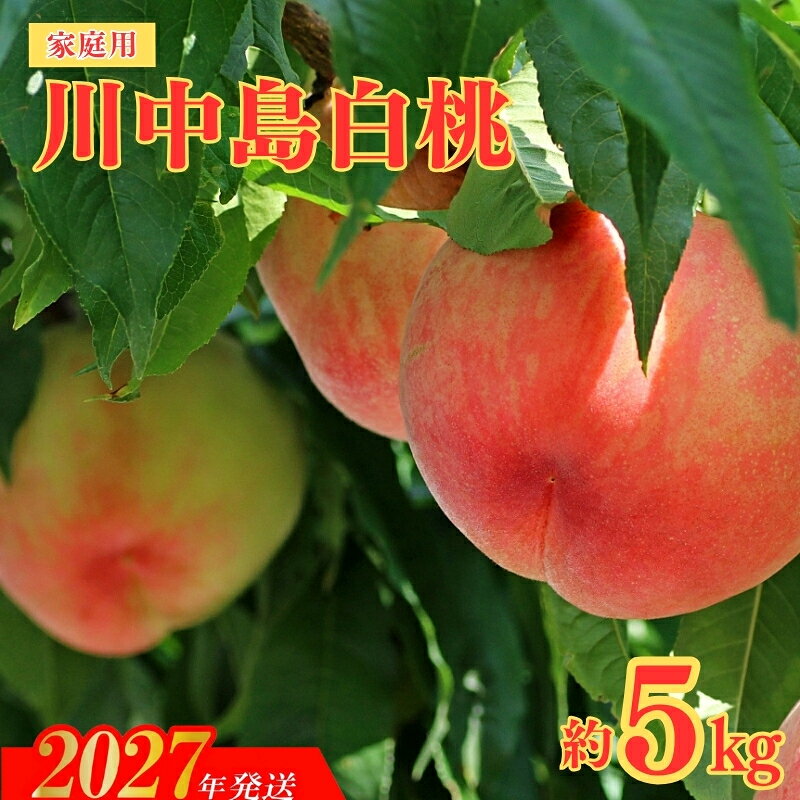 【ふるさと納税】【ご家庭用】福島のもも　川中島白桃　約5kg【2027年発送】No.2156