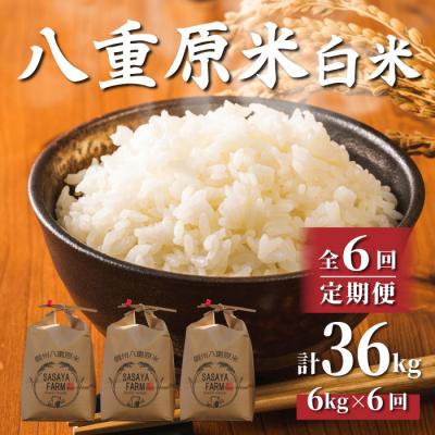 ふるさと納税 東御市 令和7年新米受付【6回定期便】八重原米6kg(2kg×3袋)白米※2025年10月以降発送|笹屋農園