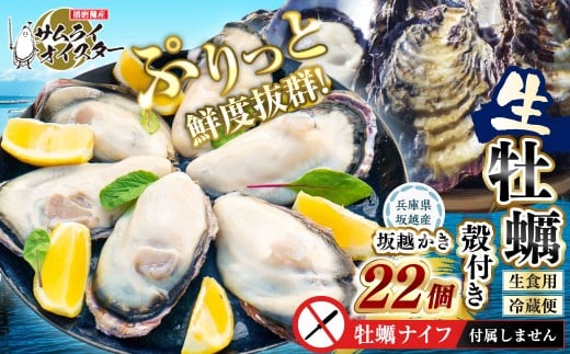 坂越かき 殻付き 22個 【ナイフなし】