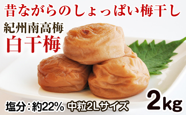 
            昔ながらのしょっぱい梅干し 2kg 中粒2L（白干梅）［無添加］食品添加物 不使用 すっぱい梅干 和歌山県産 紀州南高梅
          