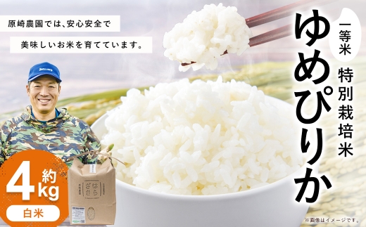 【令和8年産】一等米・特別栽培米 4kg【ゆめぴりか白米】2kg×2（農薬7割減）北海道 鷹栖町 原崎農園 【2026年10月下旬頃発送開始予定】