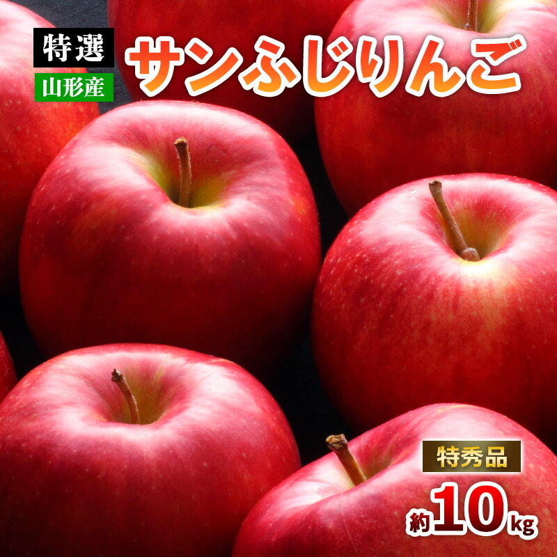 【ふるさと納税】【特選】山形のサンふじりんご 約10kg 特秀品 (20～50玉) fz19-141 リンゴ 林檎 フルーツ 果物 お取り寄せ 送料無料