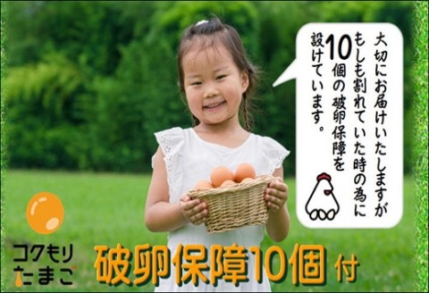 養鶏場直送！松浦の赤たまご『コクもりたまご』大きめサイズ70個+破卵保障10個【B4-059】