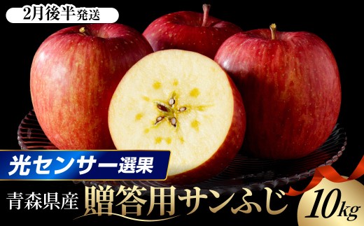 【2027年2月後半発送】 りんご 約10kg サンふじ 青森産 糖度 13度以上　贈答用 特選～特秀