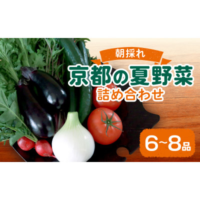 
                  夏野菜 6～8種 セット　京都府久御山町【1623427】
                