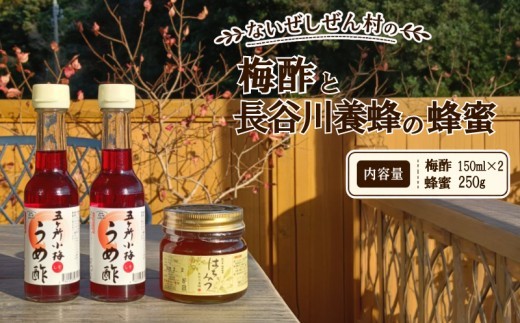 伊勢志摩の恵みお試しセット ないぜしぜん村 五ヶ所小梅の梅酢150ml×2 長谷川養蜂百花蜜250g / 小梅 うめ 梅酢 うめ酢 お酢 酢 ビネガー 梅干し ドレッシング はちみつ 蜂蜜 伊勢 志摩