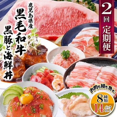 定期便2回配送　鹿児島県産黒毛和牛・黒豚　CC0-0001【配送不可地域：離島】【1542064】