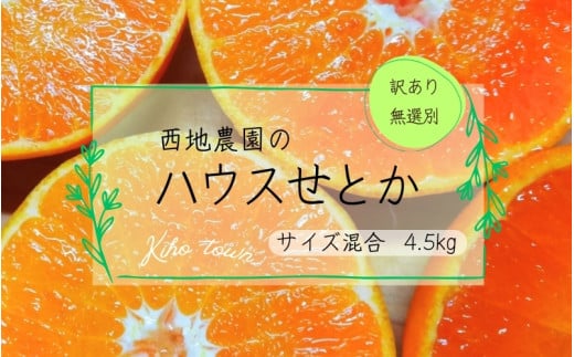 【先行予約】ご家庭用 訳あり 西地農園のハウスせとか 4.5kg サイズ混合 無選別【2026年2月中旬より順次発送】  / 手選別 せとか ハウスせとか みかん ミカン 蜜柑 柑橘 果物 くだもの フルーツ 産地直送 訳あり 訳アリ 家庭用 ご家庭用 人気