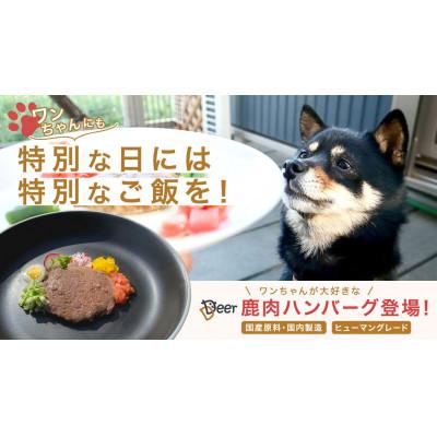 ふるさと納税 若狭町 鹿肉ドッグフード　鹿肉ハンバーグ(犬用)50g×10個