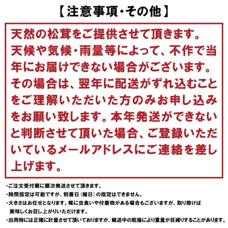 【2026年発送分】希少な国産松茸「高野松茸」200g【化粧箱入】香り・歯応え・味ともに最高級！