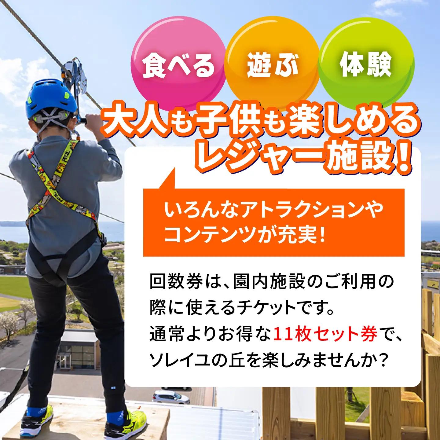 ソレイユの丘 回数券 400円分×11枚【株式会社日比谷花壇】 [AKBO001]