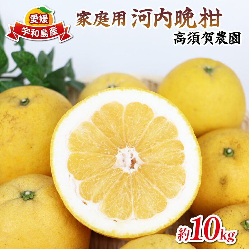 【ふるさと納税】 河内晩柑 家庭用 10kg 高須賀農園 先行予約 晩柑 かわちばんかん 和製 グレープフルーツ 果物 フルーツ 柑橘 みかん 蜜柑 農家直送 産地直送 数量限定 国産 愛媛 宇和島 B012-179001