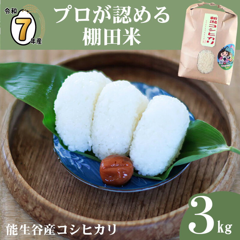 【ふるさと納税】米【令和7年産】選べる発送月 令和7年産 新潟県能生谷産コシヒカリ 3kg プロも認める棚田米 農家直送 2025年産 JATs有限会社 美味しい 農家自慢 お米 白米 おにぎり お弁当 2025年