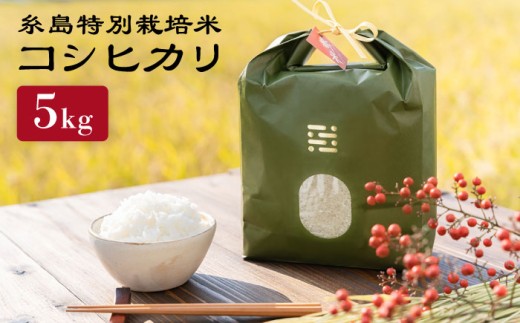 【お中元対象】【令和7年産】とくべつ の中の とくべつ 糸島 特別栽培米 5kg （ コシヒカリ ）《 糸島 》【株式会社やました】 [ARJ005]